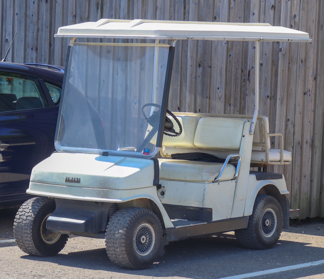Electric Golf Carts
